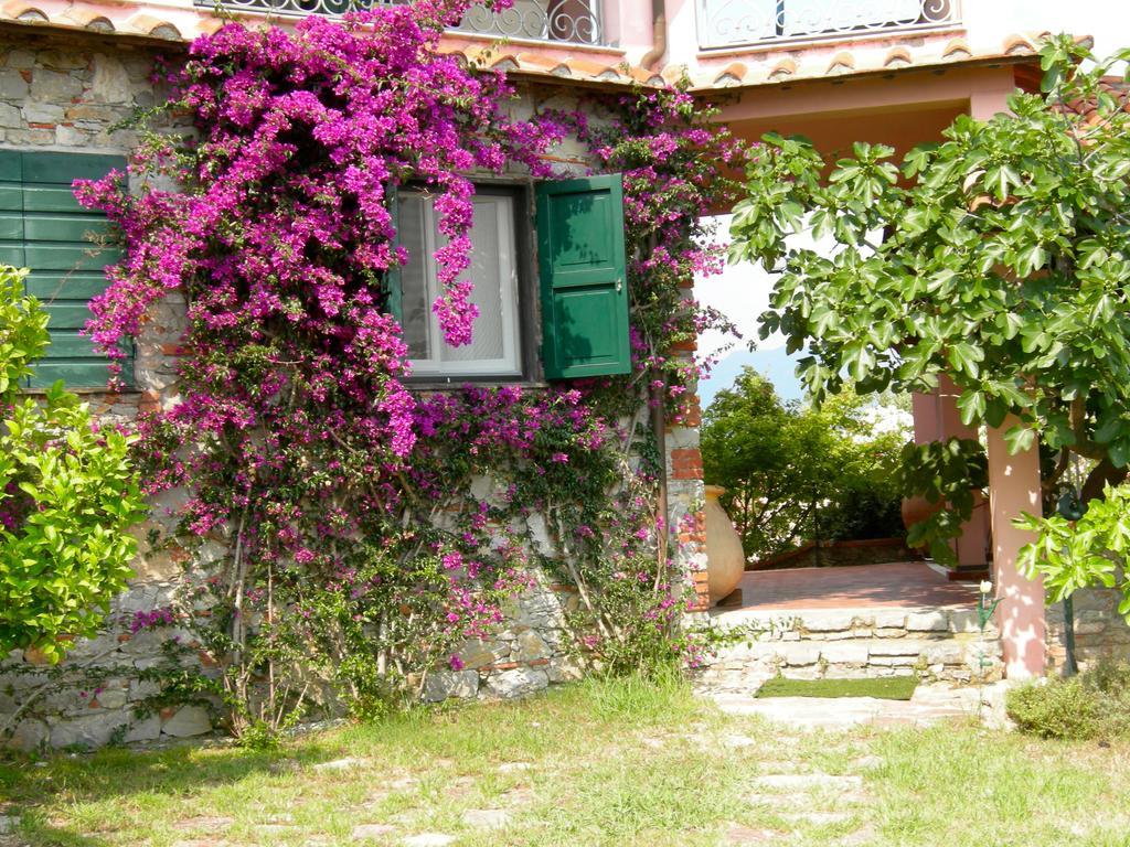 B&B Le Palme アメーリア エクステリア 写真